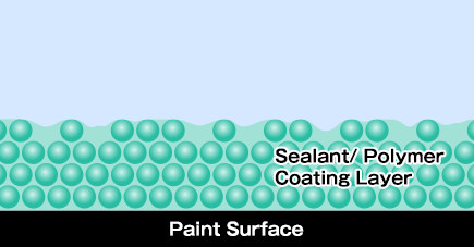 Sealant/ Polymer Coating