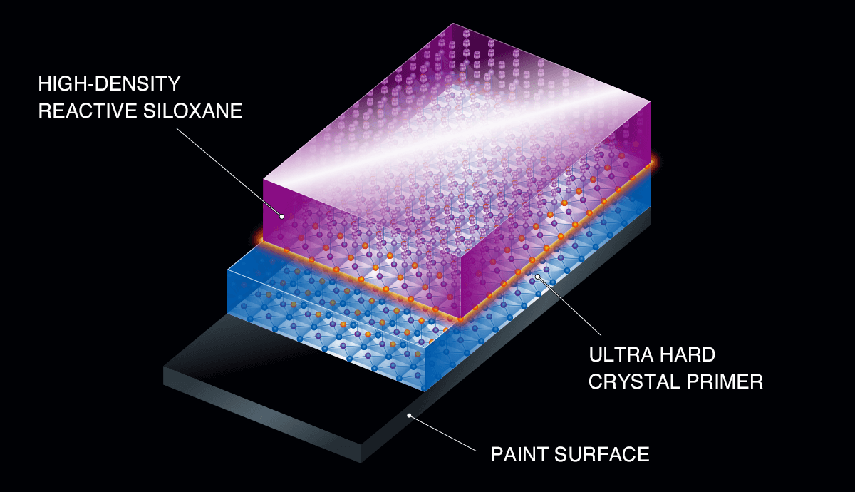 被膜のイメージ