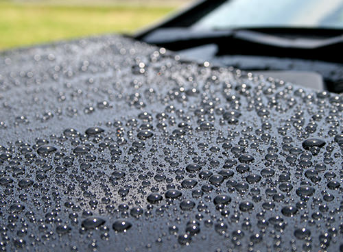 Water Repellent Type Coating