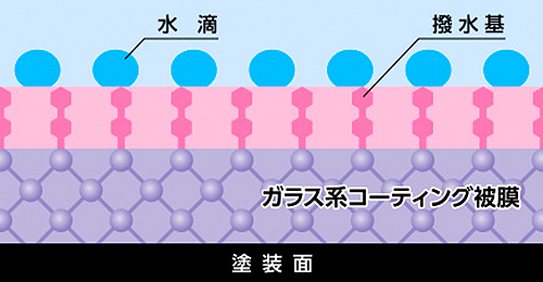 G'ZOXコーティング