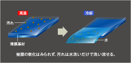 GZOX リアルガラスコートR 10個画像の写真は撮影用の単品です