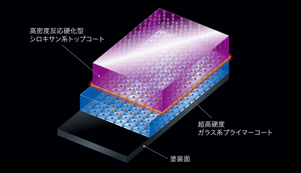 被膜のイメージ